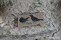 VBS_3159 - Mango (Cuneo) - Gnomovia